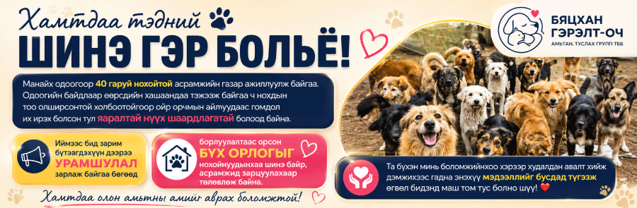 Dog campaign banner