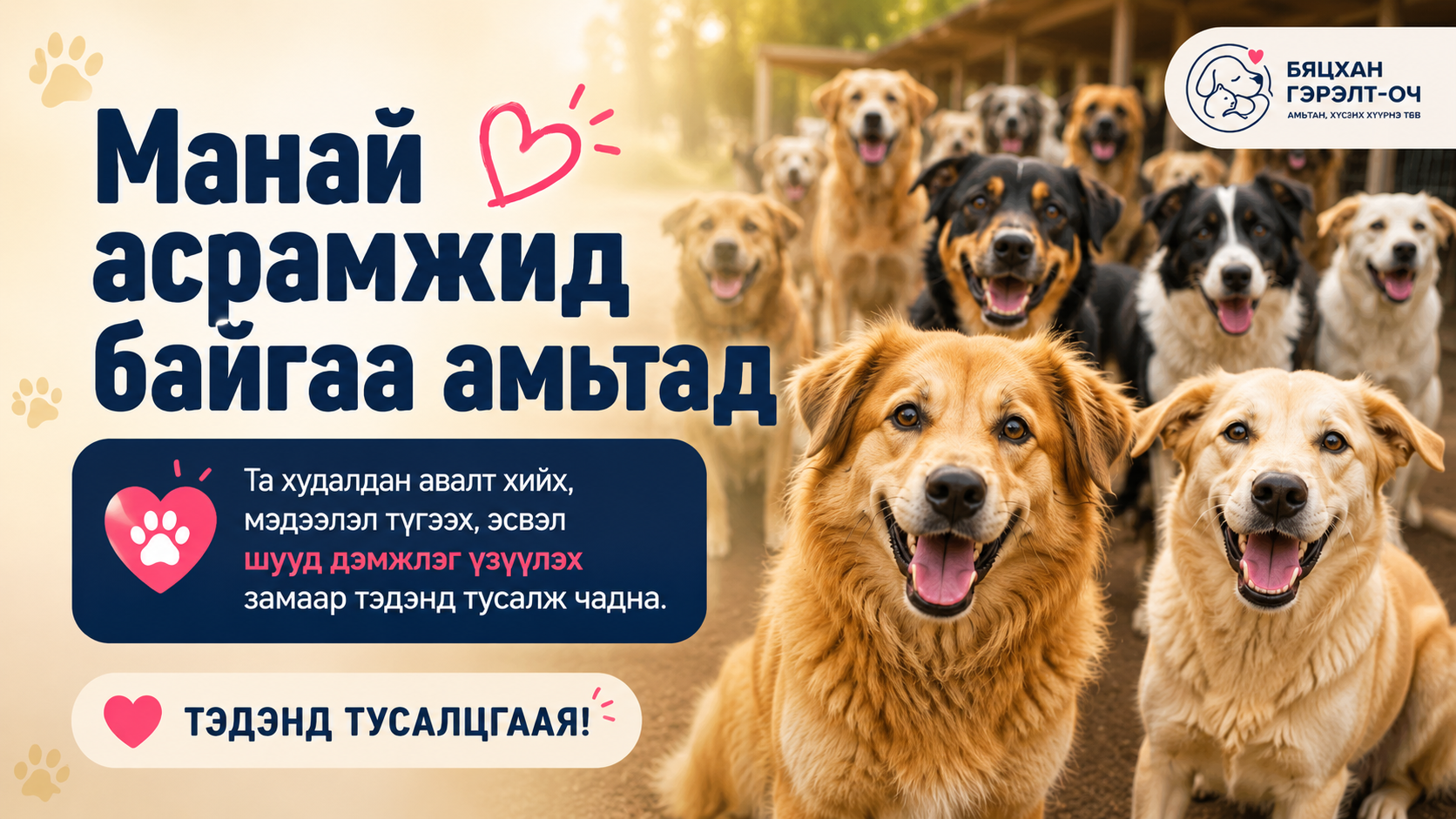 dog_champ